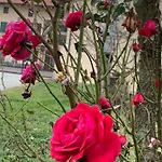 Farmház Cascina Mariale Albiano dʼIvrea
