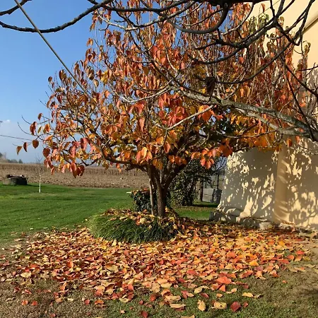 Κατάλυμα σε φάρμα Cascina Mariale Albiano dʼIvrea
