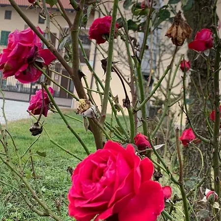 Κατάλυμα σε φάρμα Cascina Mariale Albiano dʼIvrea