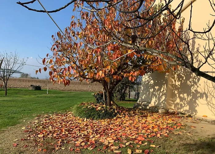 Фермерский дом Cascina Mariale Альбьяно-д'Ивреа
